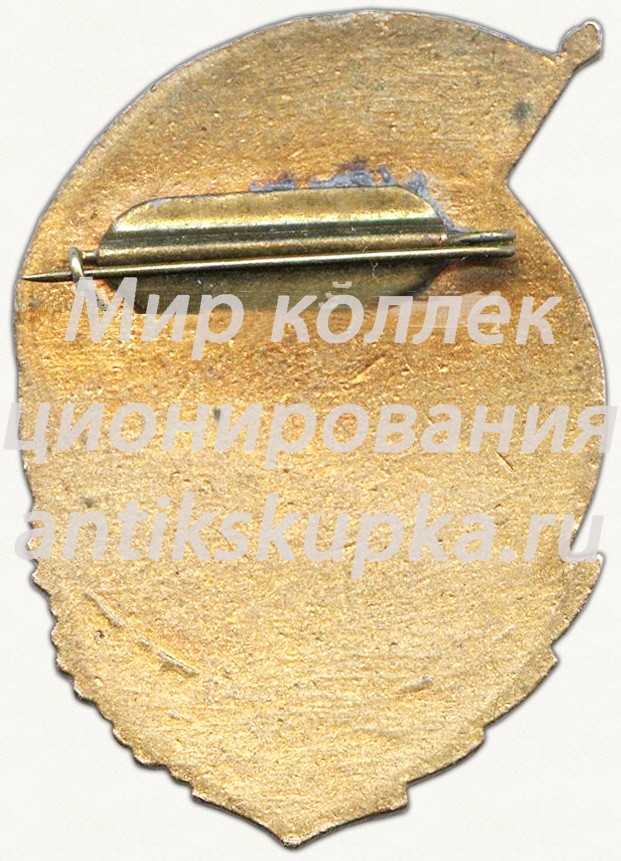 Знак «Спартакиада Краснознаменного военного института физкультуры и спорта (КВИФКиС) им. В.И.Ленина. 2 место. Хоккей» Знак «Спартакиада Краснознаменного военного института физкультуры и спорта (КВИФКиС) им. В.И.Ленина. 2 место. Хоккей»