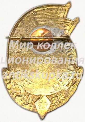 Знак «Спартакиада ПВО Туркестанского военного округа (ТуркВО). Чемпион. Прыжки в воду» Знак «Спартакиада ПВО Туркестанского военного округа (ТуркВО). Чемпион. Прыжки в воду»