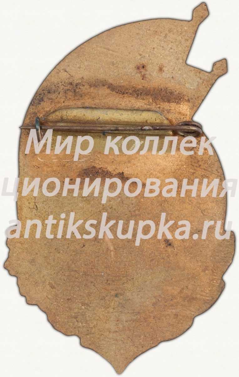 Знак «Спартакиада ВВС Северо-Кавказского военного округа (СКВО). 2 место. Бег» Знак «Спартакиада ВВС Северо-Кавказского военного округа (СКВО). 2 место. Бег»