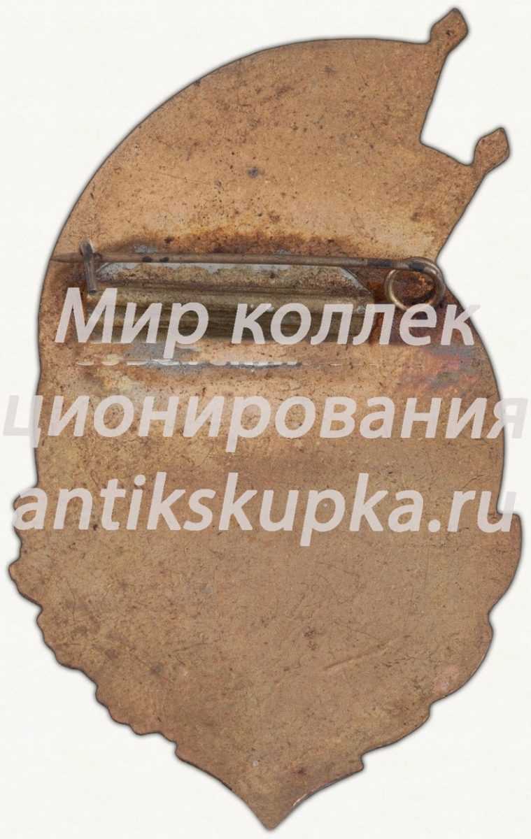 Знак «Спартакиада ВВС Северо-Кавказского военного округа (СКВО). 3 место. Бег» Знак «Спартакиада ВВС Северо-Кавказского военного округа (СКВО). 3 место. Бег»