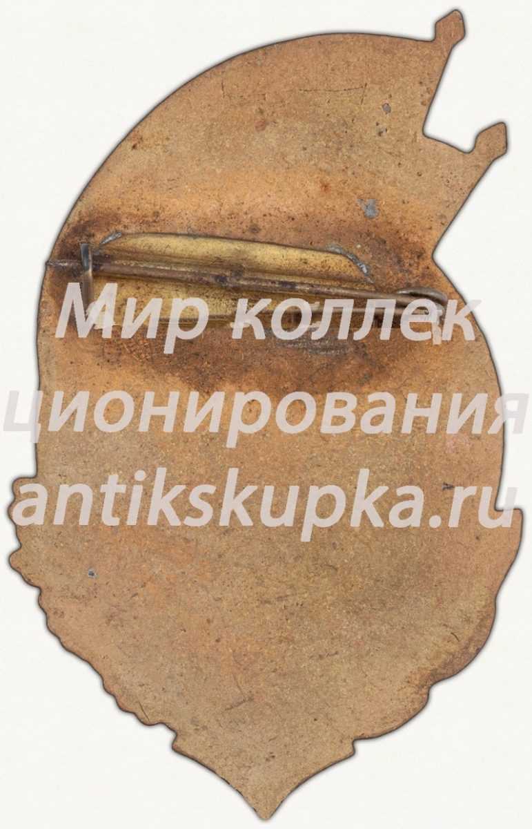 Знак «Спартакиада ВВС Северо-Кавказского военного округа (СКВО). Чемпион. Бег» Знак «Спартакиада ВВС Северо-Кавказского военного округа (СКВО). Чемпион. Бег»