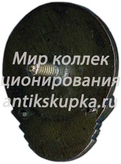 Знак «Спортивное первенство ВВС РККА. II место. 1939» Знак «Спортивное первенство ВВС РККА. II место. 1939»