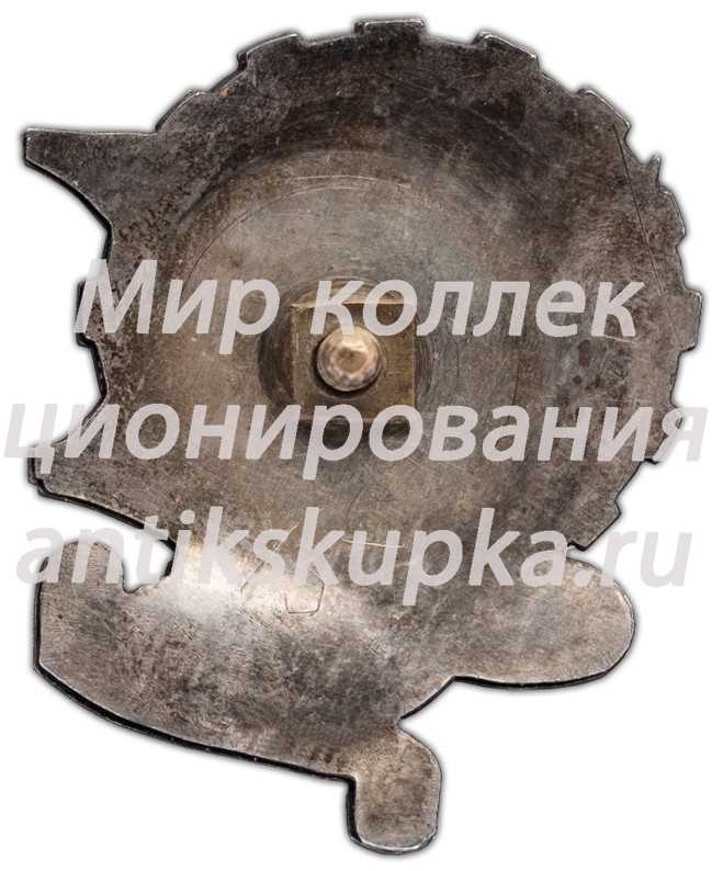 Знак «Старым борцам и ветеранам Красной Армии от рабочих Краснознаменного завода № 15 к X годовщине» Знак «Старым борцам и ветеранам Красной Армии от рабочих Краснознаменного завода № 15 к X годовщине»