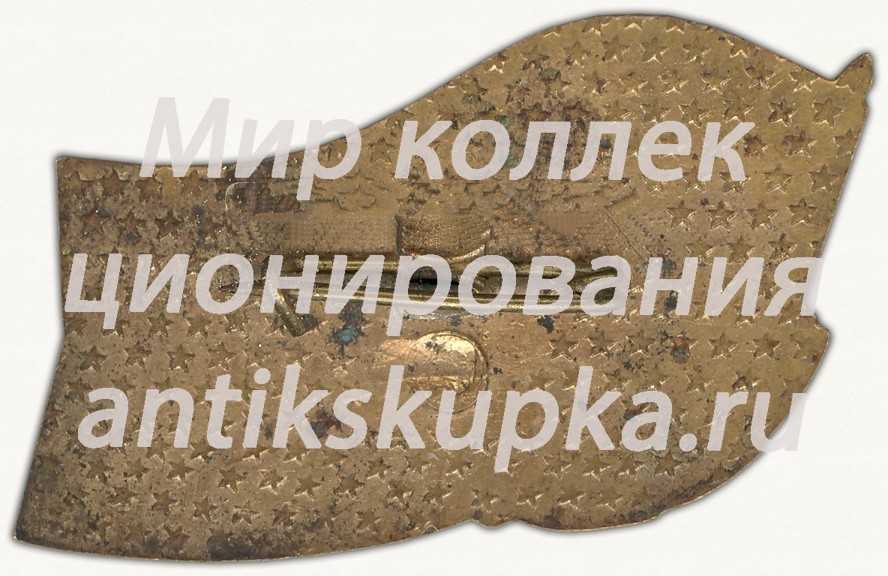 Знак участника XXIX городской конференции ВЛКСМ. Киев-1982 Знак участника XXIX городской конференции ВЛКСМ. Киев-1982