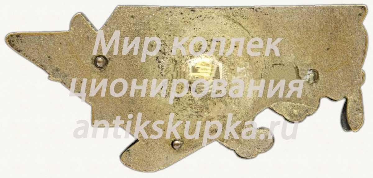 Знак «В память Всесоюзного перелета легкомоторных самолетов 1935 года» Знак «В память Всесоюзного перелета легкомоторных самолетов 1935 года»