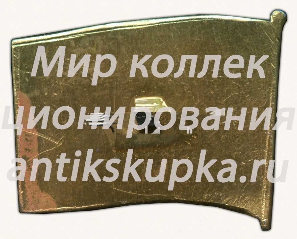 Знак «Ветерану 202 Корсунь-Шевченковской стрелковой дивизии» Знак «Ветерану 202 Корсунь-Шевченковской стрелковой дивизии»