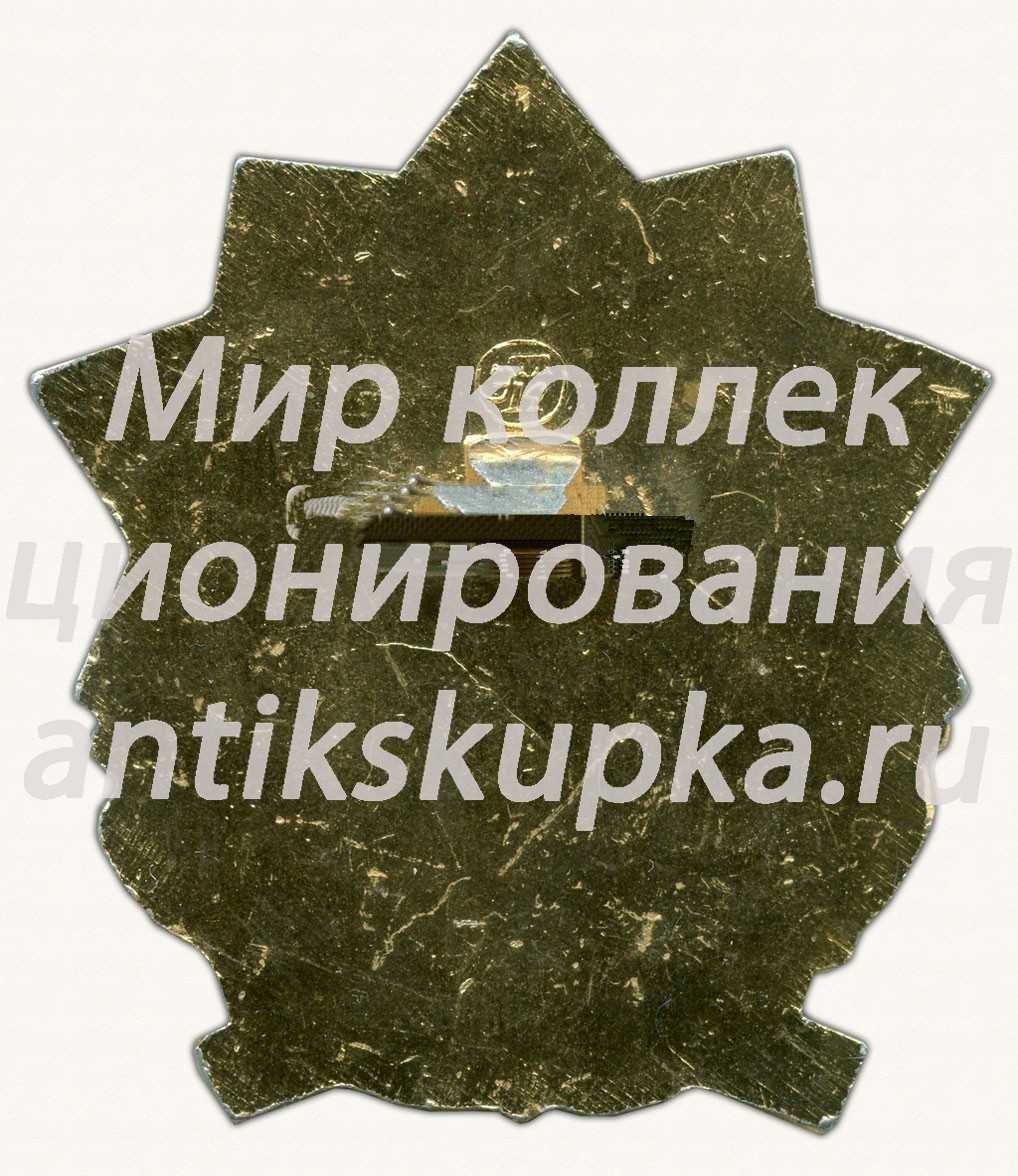 Знак «Ветерану 51 армии. Сталинград. Донбасс. Сиваш. Севастополь. Прибалтика. Крым» Знак «Ветерану 51 армии. Сталинград. Донбасс. Сиваш. Севастополь. Прибалтика. Крым»