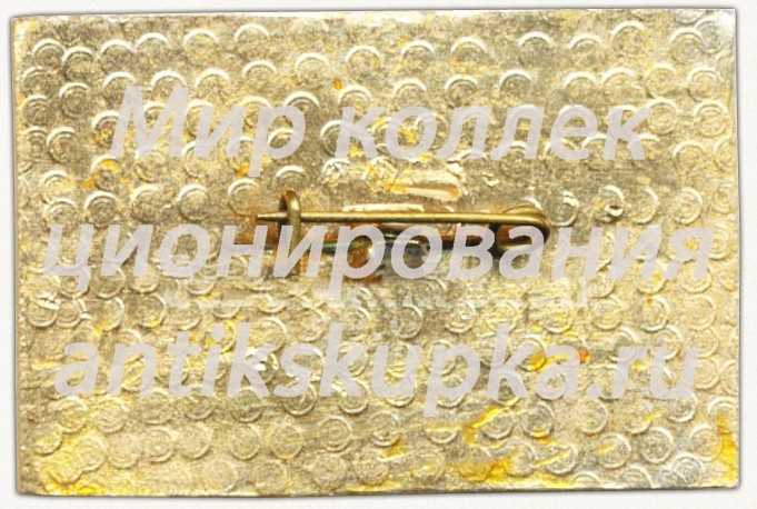Знак «VI Комсомольская конференция. ВЛКСМ. 1976» Знак «VI Комсомольская конференция. ВЛКСМ. 1976»