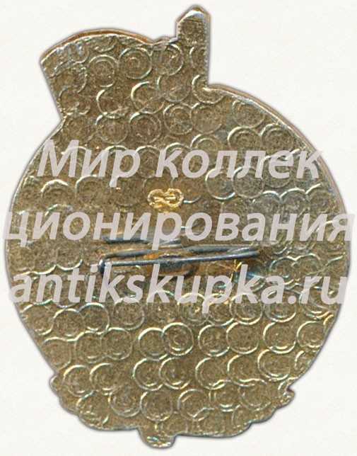 Знак «ВЛКСМ. Победитель соцсоревнования. XII пятилетка» Знак «ВЛКСМ. Победитель соцсоревнования. XII пятилетка»