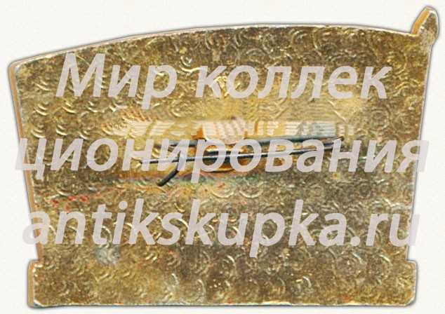 Знак «ВЛКСМ. Раменская городская организация (1919-1979)» Знак «ВЛКСМ. Раменская городская организация (1919-1979)»