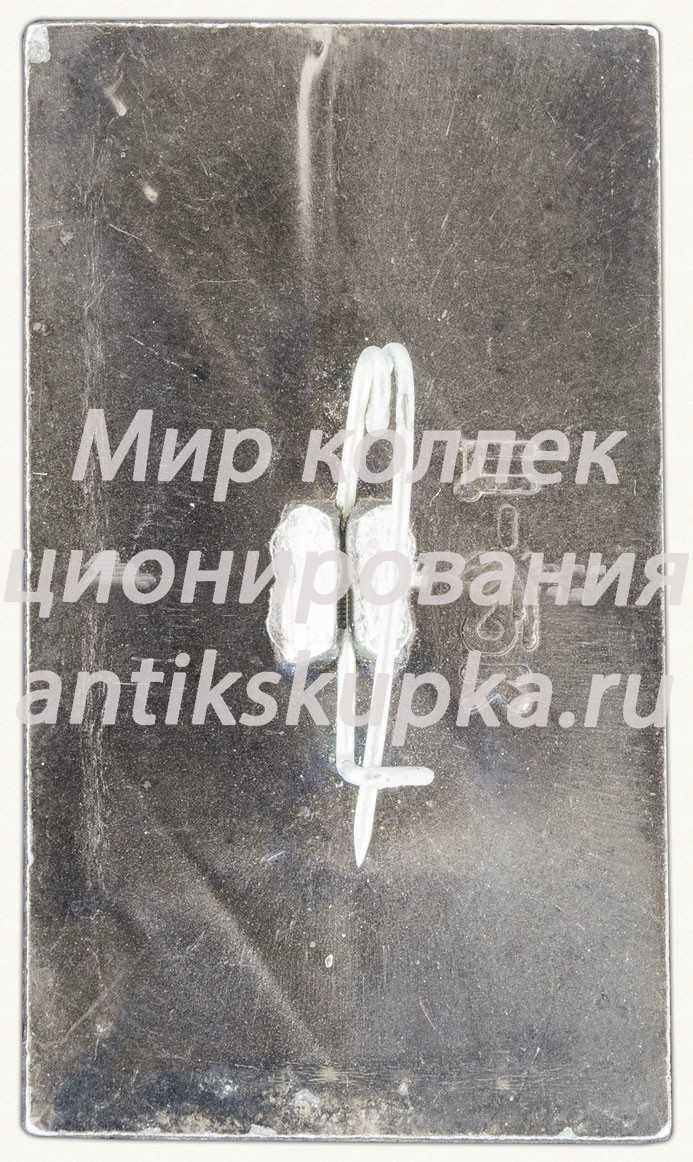 Знак «Волгоград. Город Герой» Знак «Волгоград. Город Герой»