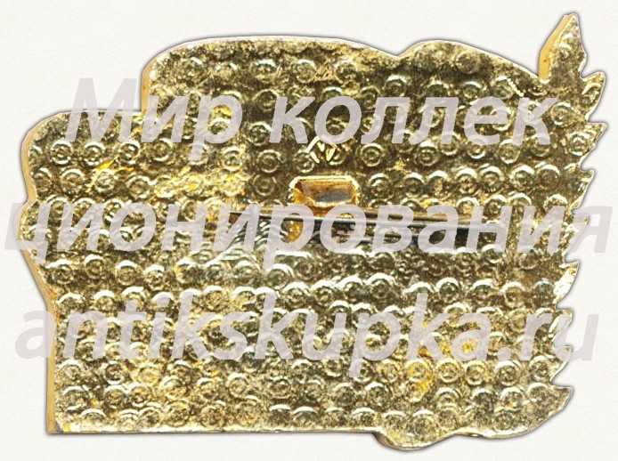 Знак «X комсомольская конференция ВЛКСМ» Знак «X комсомольская конференция ВЛКСМ»