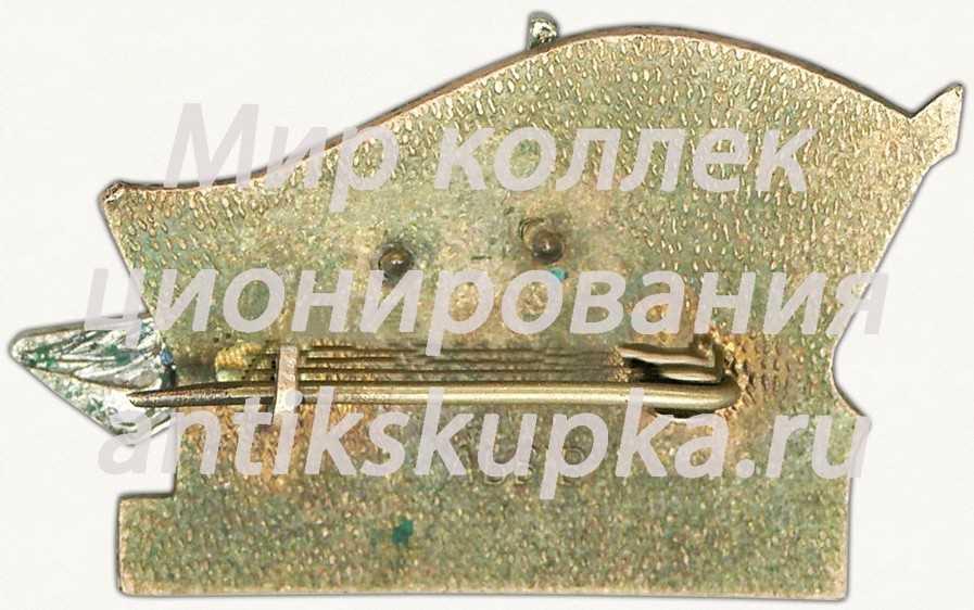 Знак «XIX областная комсомольская конференция» Знак «XIX областная комсомольская конференция»
