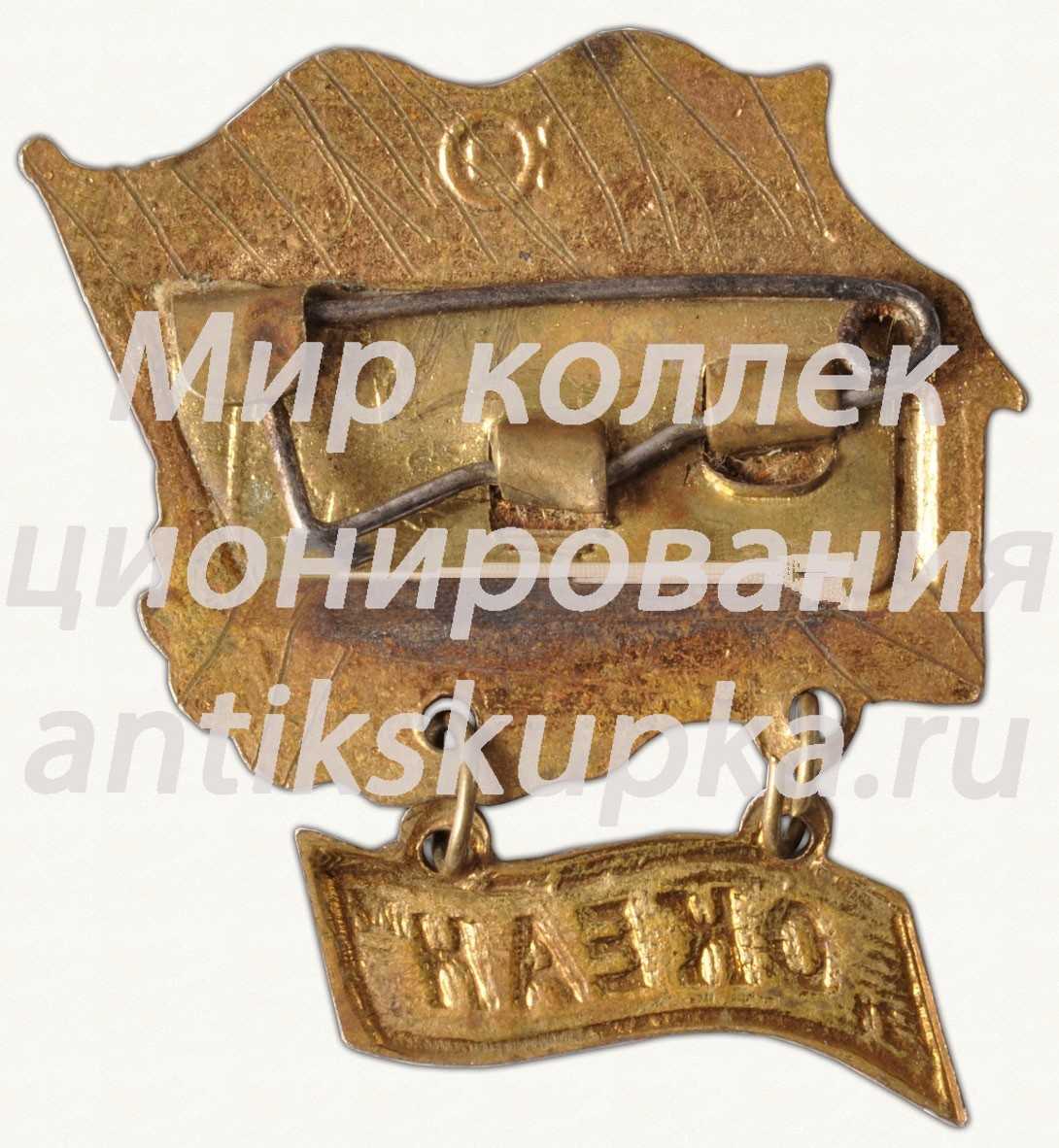 Знак «За дальний поход (учения ВМФ «Океан»)» Знак «За дальний поход (учения ВМФ «Океан»)»