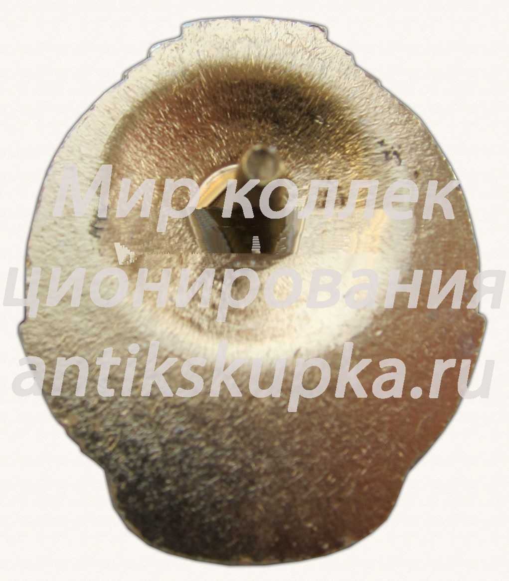 Знак «За отличие в воинской службе» Знак «За отличие в воинской службе»