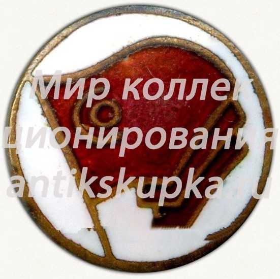 Членский знак ДСО «Красное знамя» Членский знак ДСО «Красное знамя»