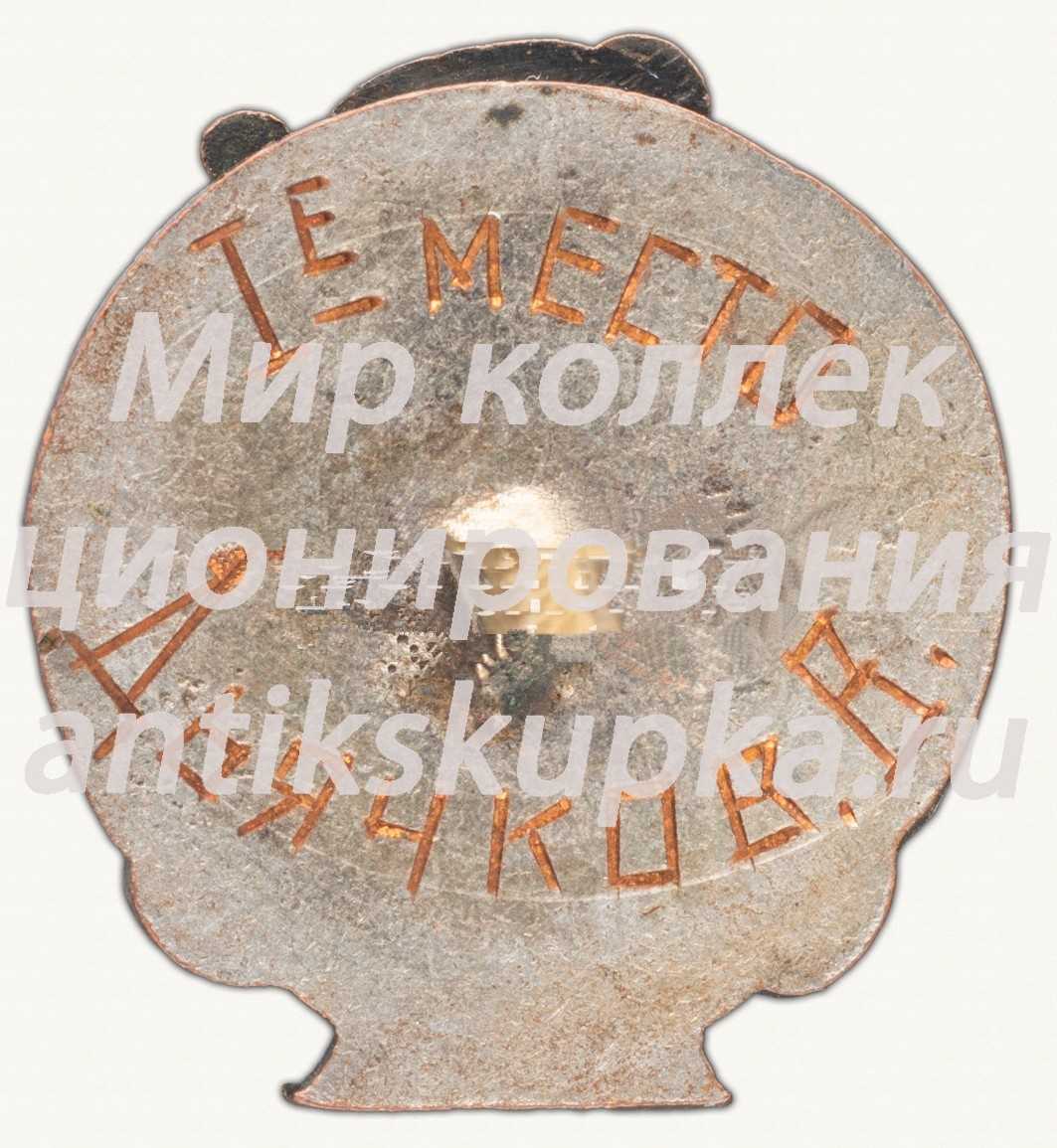 Знак «Архитектурный институт. Спартакиада» Знак «Архитектурный институт. Спартакиада»