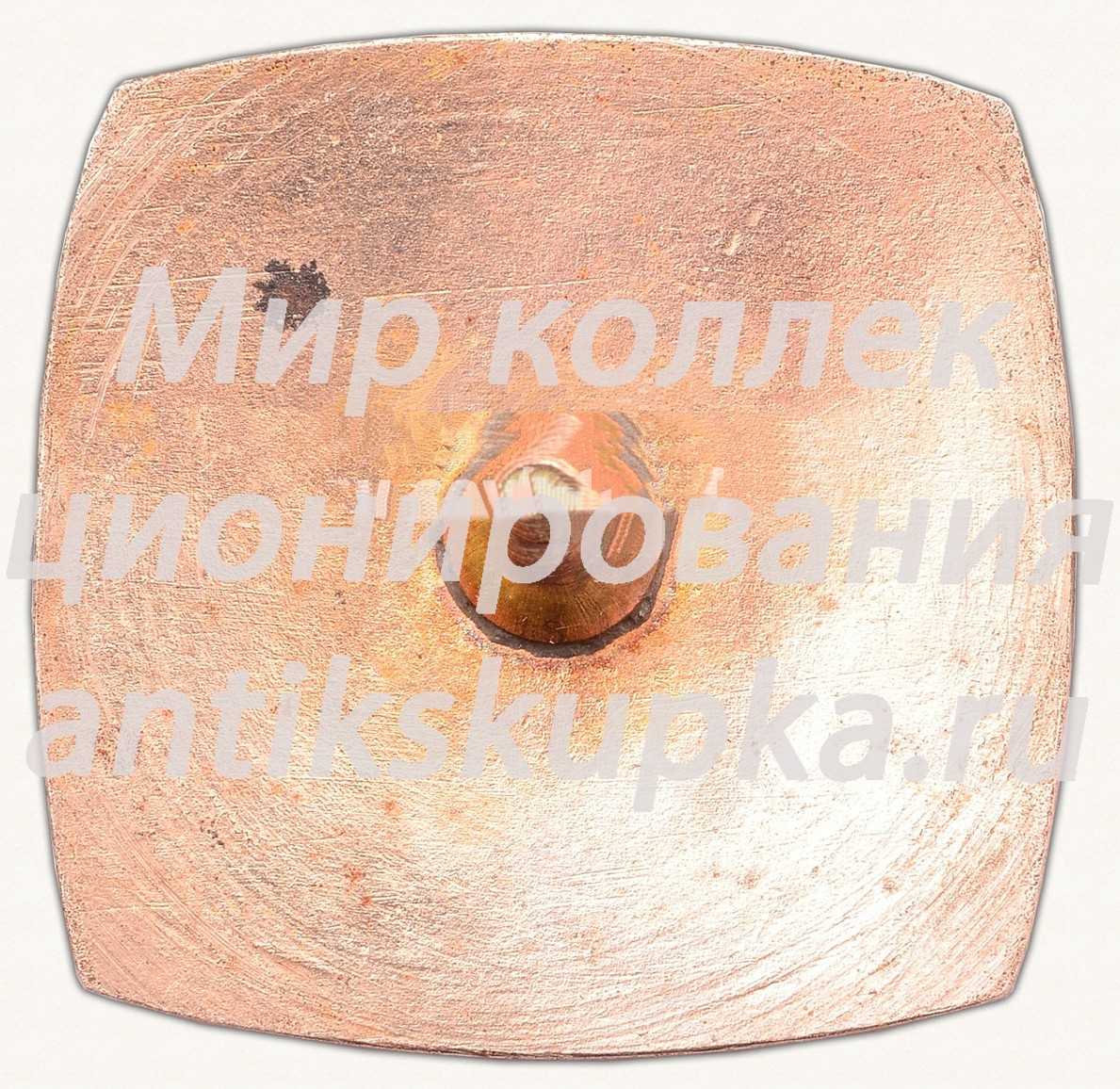 Знак «Авто-мото» Знак «Авто-мото»