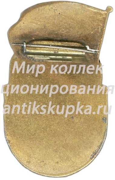 Знак «Центральный стадион имени В.И. Ленина» Знак «Центральный стадион имени В.И. Ленина»