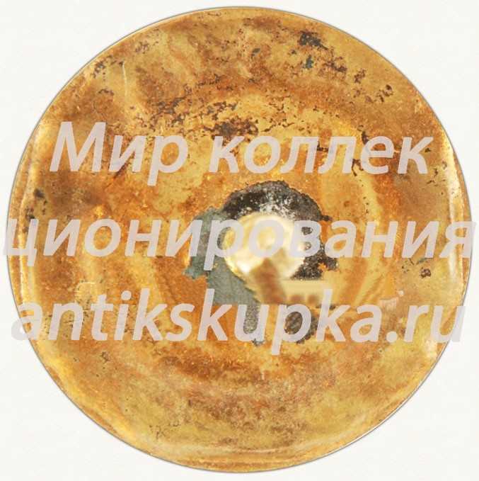 Знак чемпиона ДСО «Даугава». Рига Знак чемпиона ДСО «Даугава». Рига