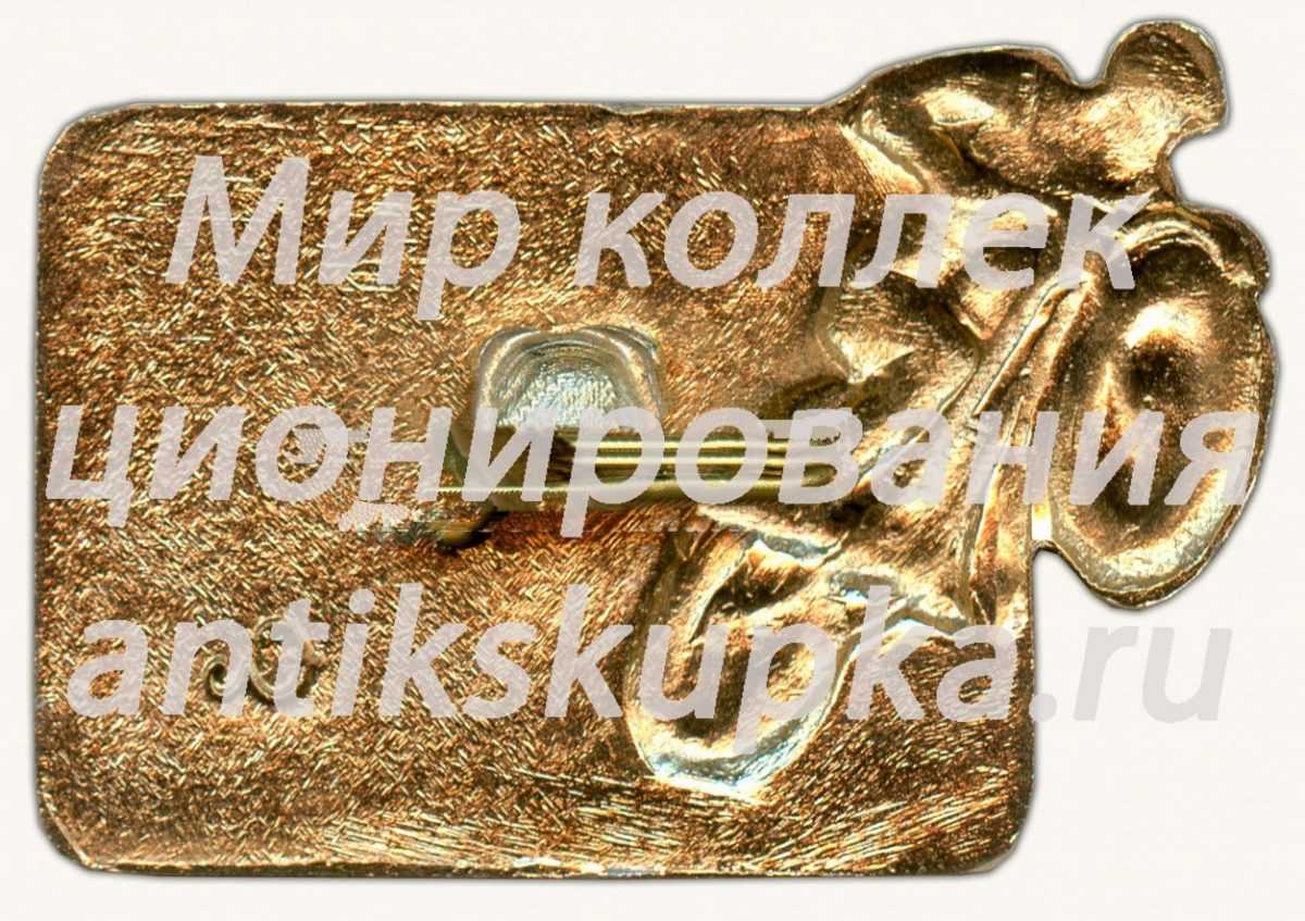 Знак «Чемпионат мира по мотокроссу. Ленинград. 1978 г.» Знак «Чемпионат мира по мотокроссу. Ленинград. 1978 г.»