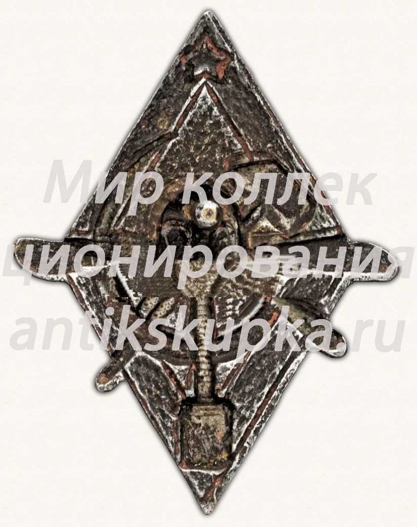 Знак для окончивших курсы инструкторов АВИАХИМа Знак для окончивших курсы инструкторов АВИАХИМа