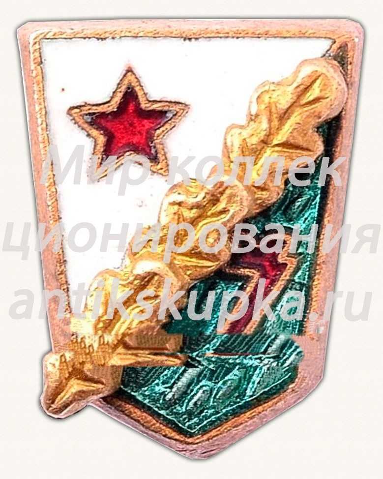Знак «ДСО «Zalgeris» (Жальгирис)» Знак «ДСО «Zalgeris» (Жальгирис)»