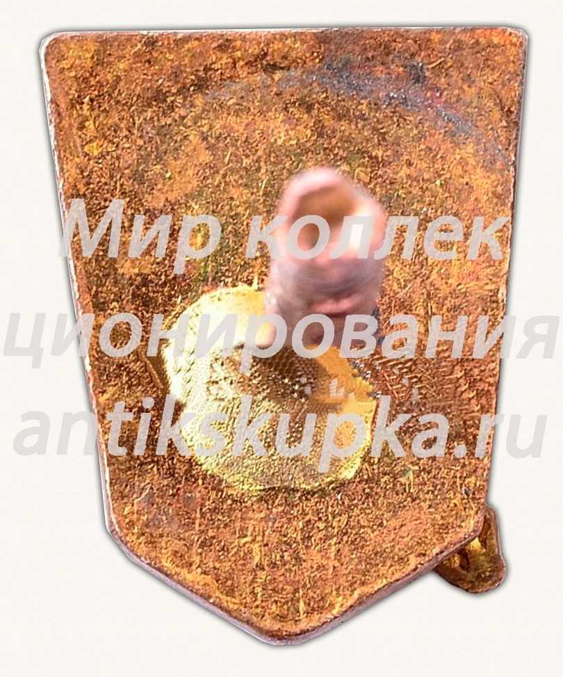 Знак «ДСО «Zalgeris» (Жальгирис)» Знак «ДСО «Zalgeris» (Жальгирис)»