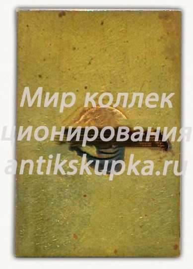 Знак «Гатчина. Х спартакиада школьников. 1975» Знак «Гатчина. Х спартакиада школьников. 1975»