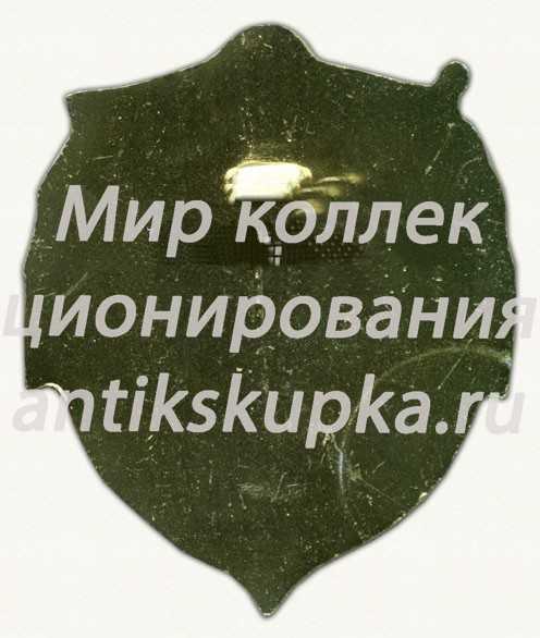 Знак «ХХХ лет техническому управлению Балтийского флота (ТУБФ)» Знак «ХХХ лет техническому управлению Балтийского флота (ТУБФ)»