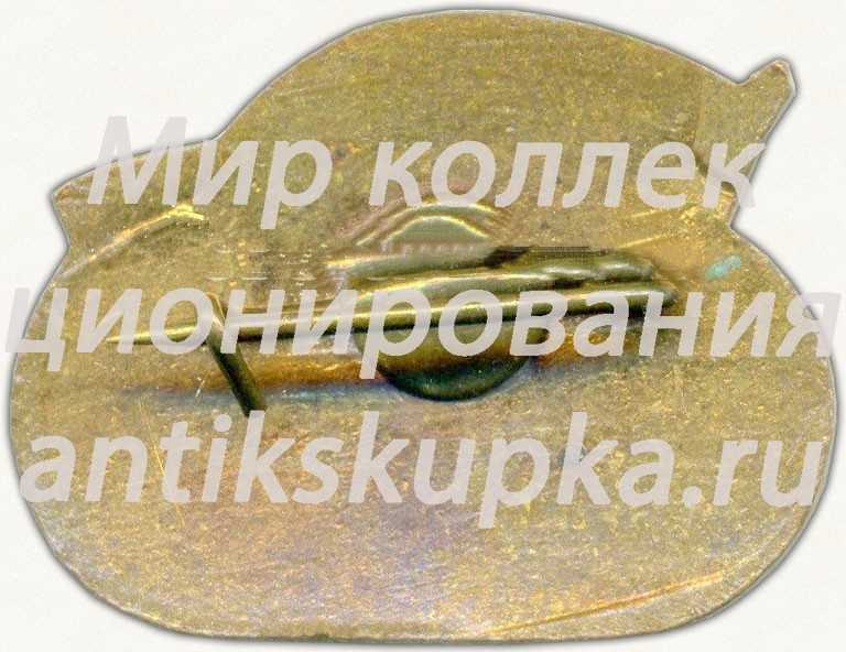 Знак «II спартакиада городов. Узбекская ССР. 1962» Знак «II спартакиада городов. Узбекская ССР. 1962»