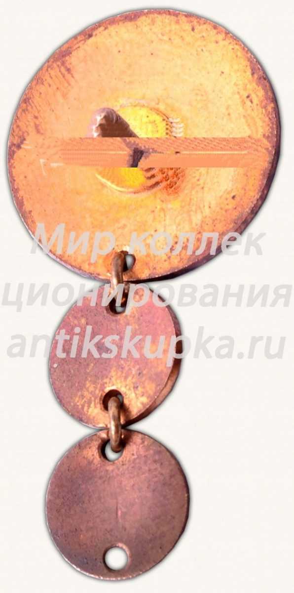 Знак «III место в профсоюзных ралли Эстонской ССР. 1968» Знак «III место в профсоюзных ралли Эстонской ССР. 1968»