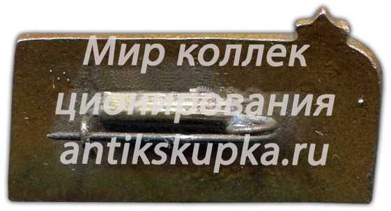 Знак «III всероссийские соревнования по автомодельному спорту. 1959» Знак «III всероссийские соревнования по автомодельному спорту. 1959»