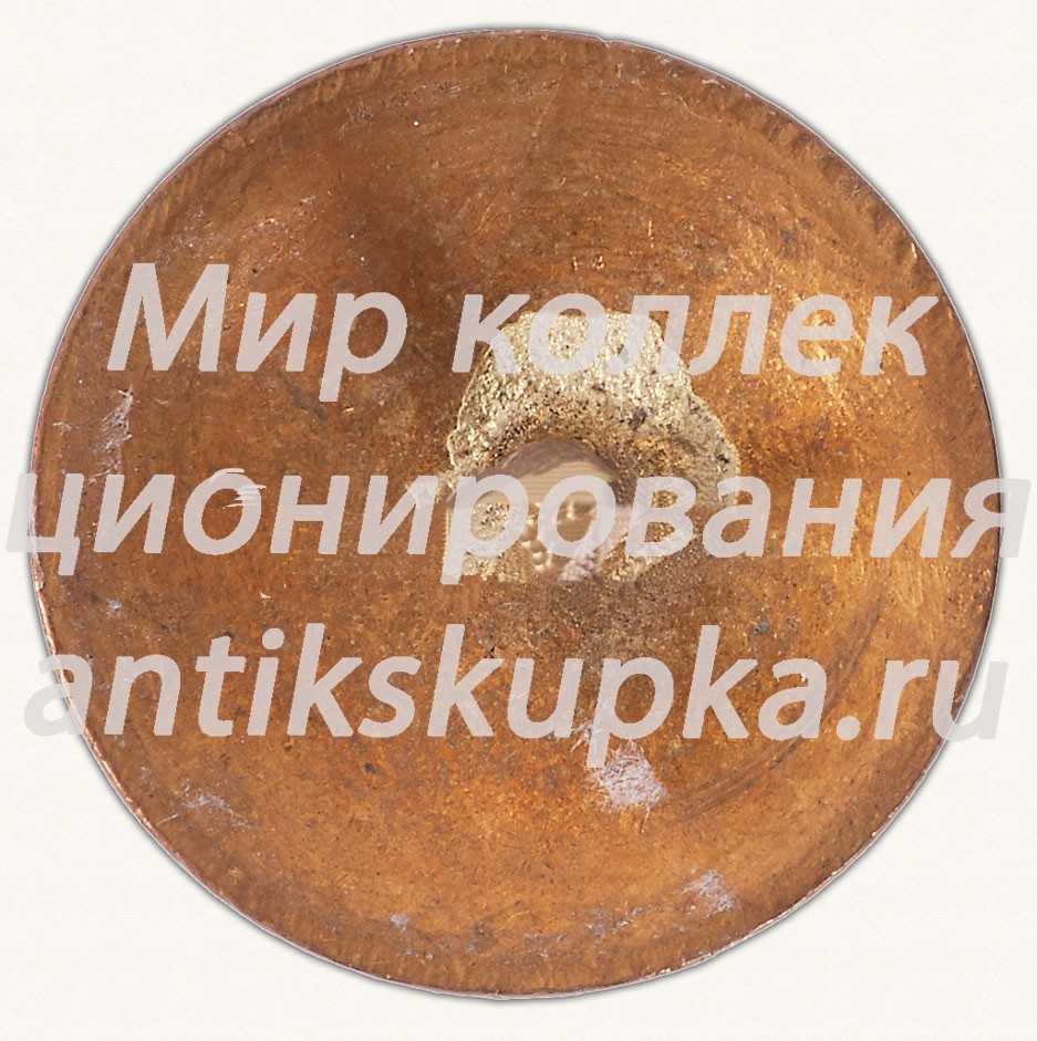 Знак «Коллегия судей по спорту. 2 степень» Знак «Коллегия судей по спорту. 2 степень»