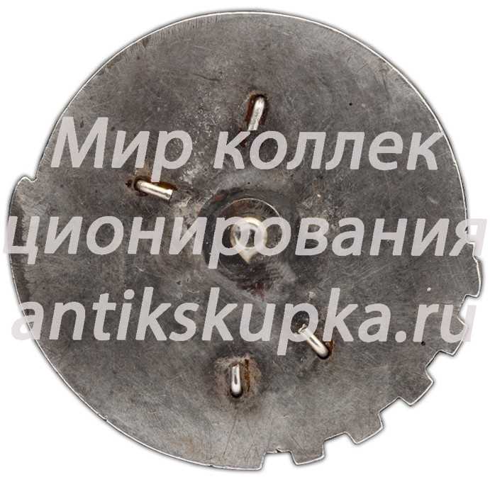 Знак «Крепя транспорт — крепишь оборону СССР» Знак «Крепя транспорт — крепишь оборону СССР»