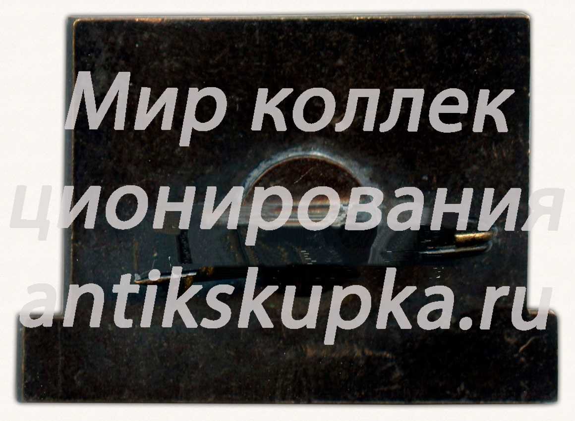 Знак «Ледокол «Ф.Литке»» Знак «Ледокол «Ф.Литке»»