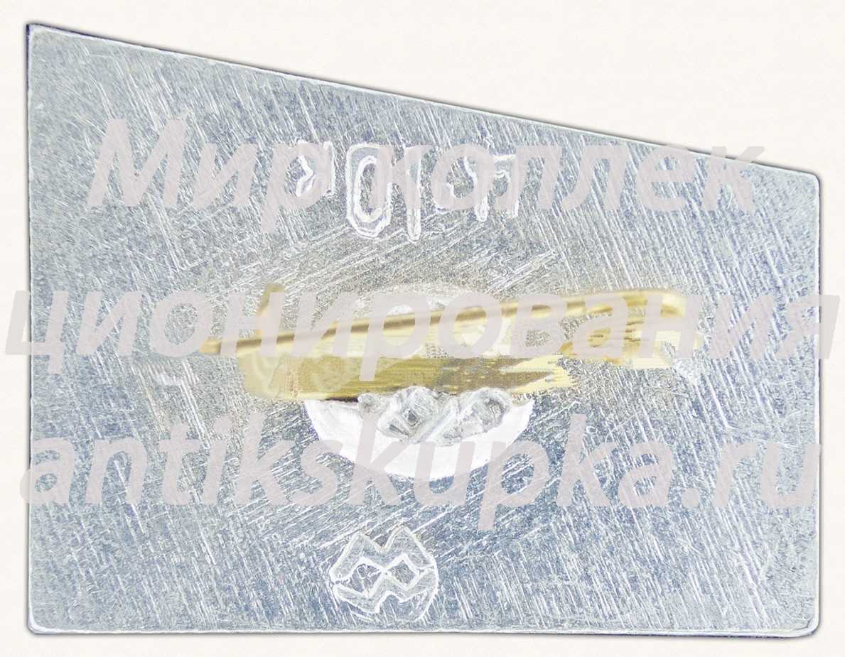 Знак «Лыжник. Лыжный спорт» Знак «Лыжник. Лыжный спорт»