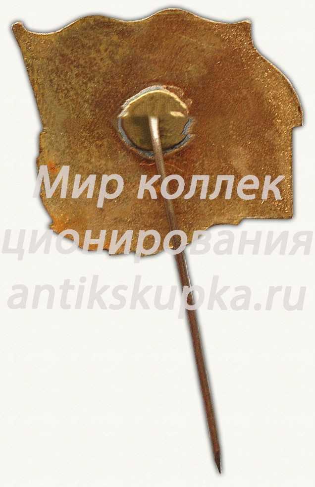 Знак «Патрульный корабль (ПК)-655 «Твердый»» Знак «Патрульный корабль (ПК)-655 «Твердый»»