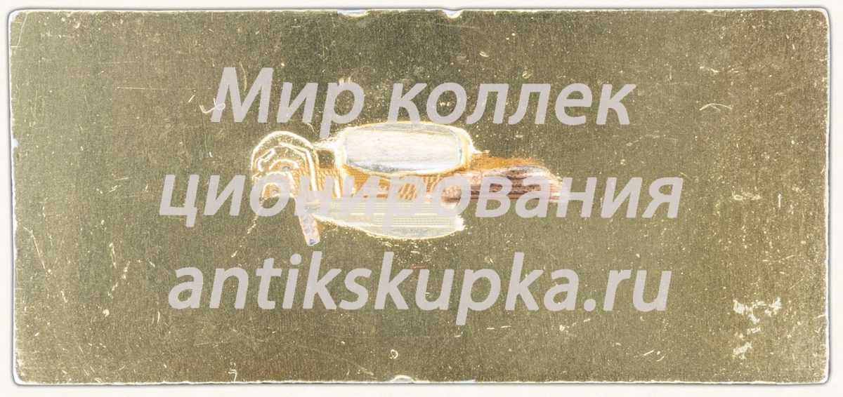 Знак «Первенство мира по фехтованию. Москва. 1966. Тип 2» Знак «Первенство мира по фехтованию. Москва. 1966. Тип 2»
