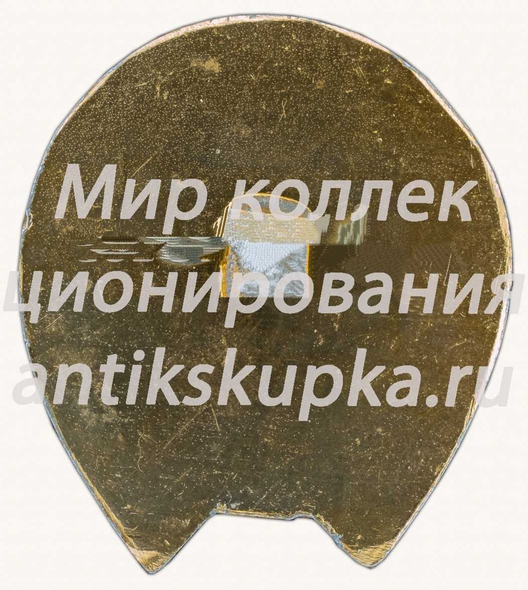 Знак «Первенство РСФСР среди детских юношеских спортивных школ (ДЮСШ) и школ высшего спортивного мастерства (ШВСМ). 1976. Горький» Знак «Первенство РСФСР среди детских юношеских спортивных школ (ДЮСШ) и школ высшего спортивного мастерства (ШВСМ). 1976. Горький»