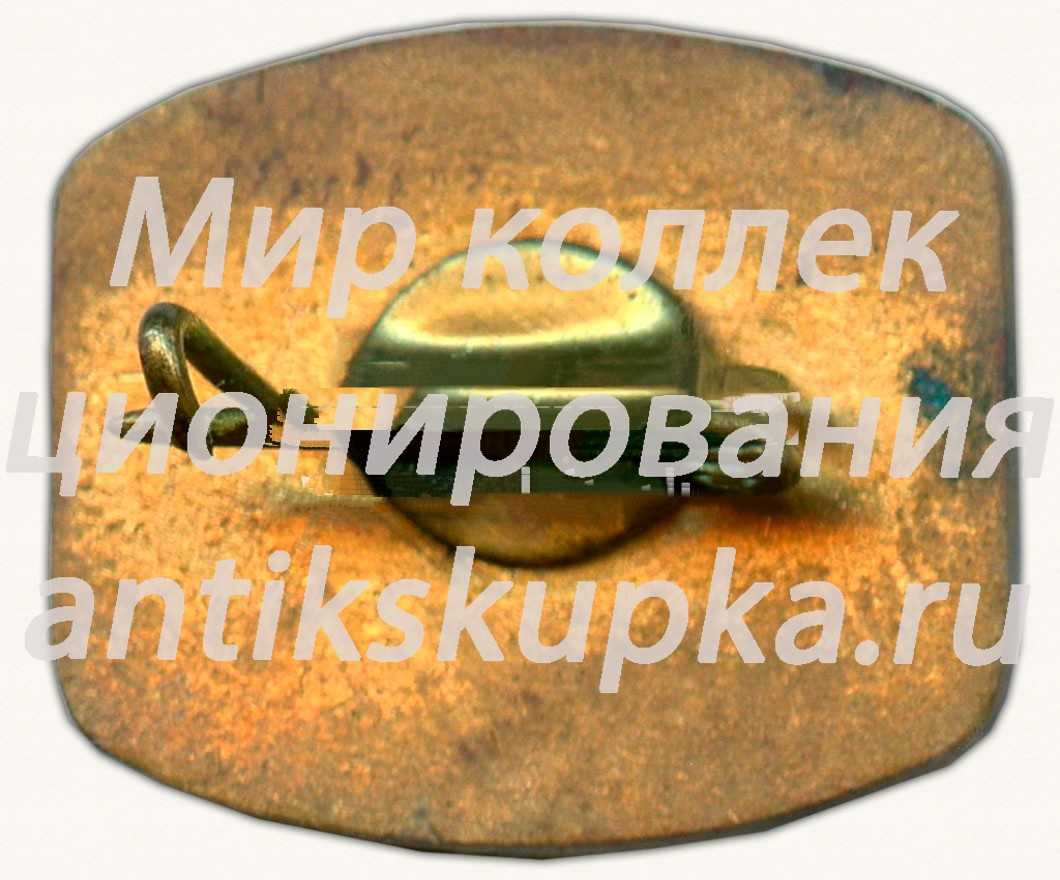 Знак «Ралли «Русская Зима»» Знак «Ралли «Русская Зима»»