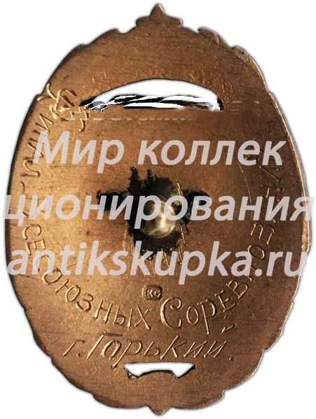 Знак «Соревнование сельской молодежи. Победитель. Лыжные гонки. 1948» Знак «Соревнование сельской молодежи. Победитель. Лыжные гонки. 1948»
