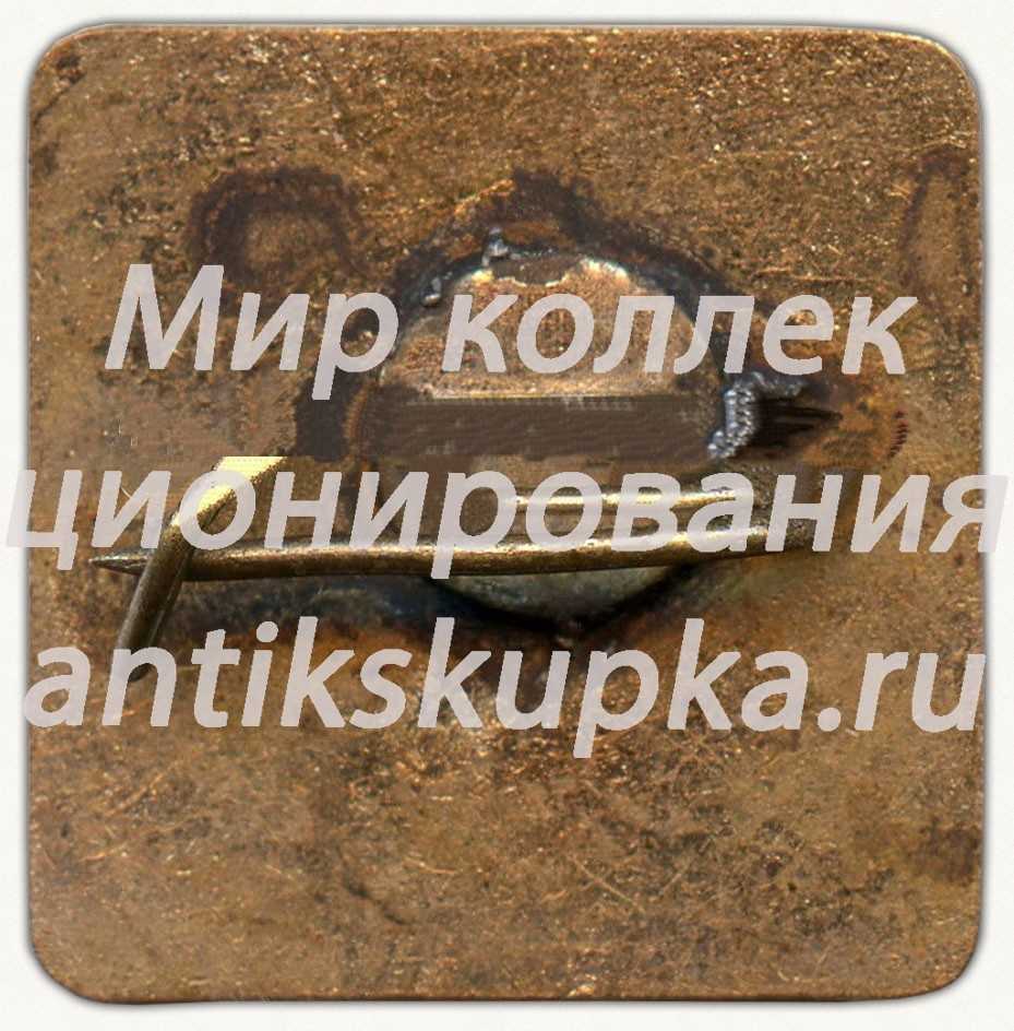 Знак «Спасательный отряд» 2 Знак «Спасательный отряд» 2