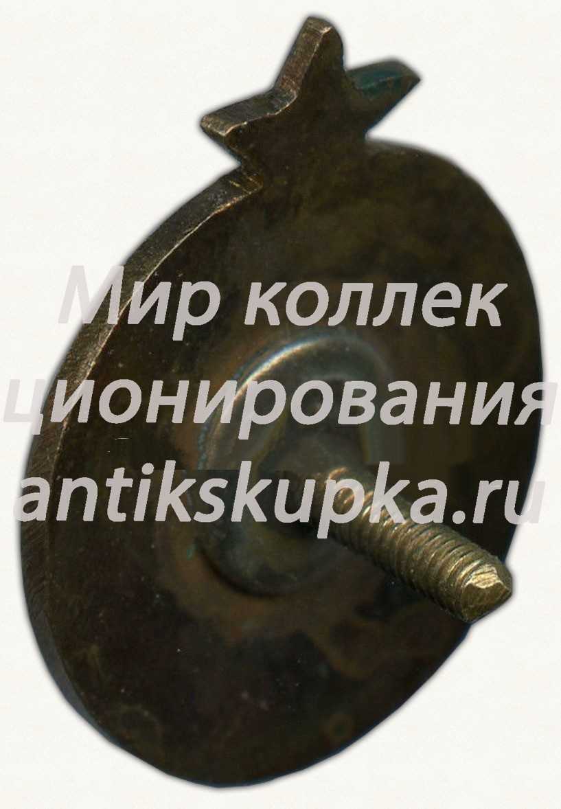 Знак спортивного клуба Таллинского государствоеного педагогического института (TPEDI) Знак спортивного клуба Таллинского государствоеного педагогического института (TPEDI)