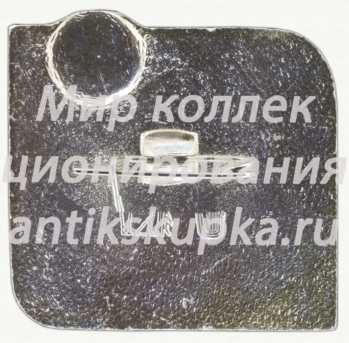 Знак «Турнир «Кожаный мяч»» Знак «Турнир «Кожаный мяч»»