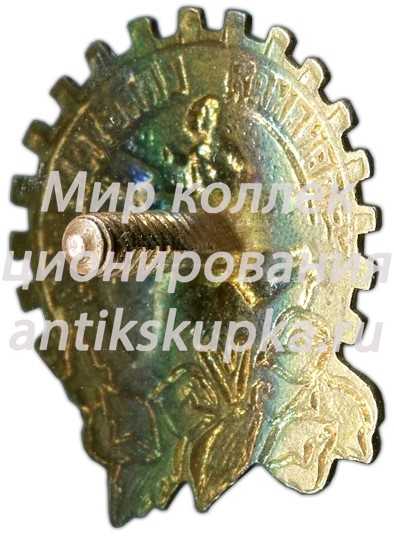 Знак «V Узбекская спартакиада. 1948» Знак «V Узбекская спартакиада. 1948»