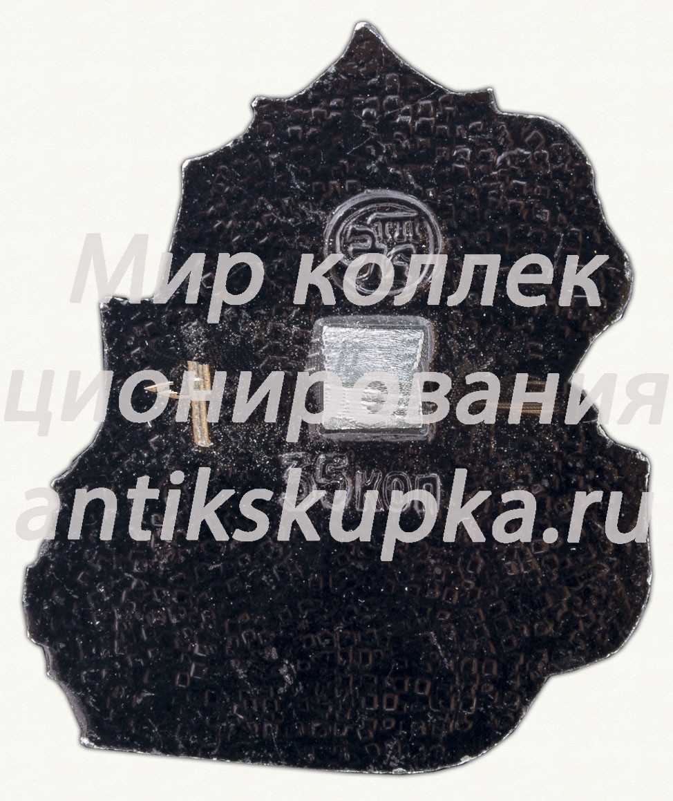 Знак в виде корабля. Серия знаков «Корабли под Андреевским флагом» Знак в виде корабля. Серия знаков «Корабли под Андреевским флагом»