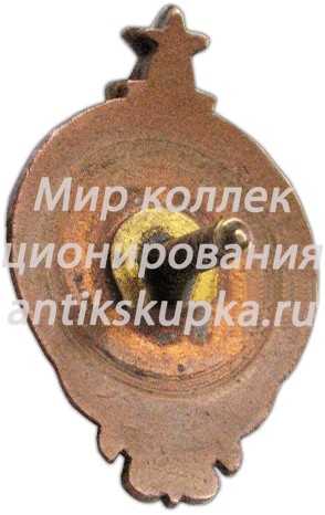 Знак «V Всеказахстанская спартакиада. 1950» Знак «V Всеказахстанская спартакиада. 1950»