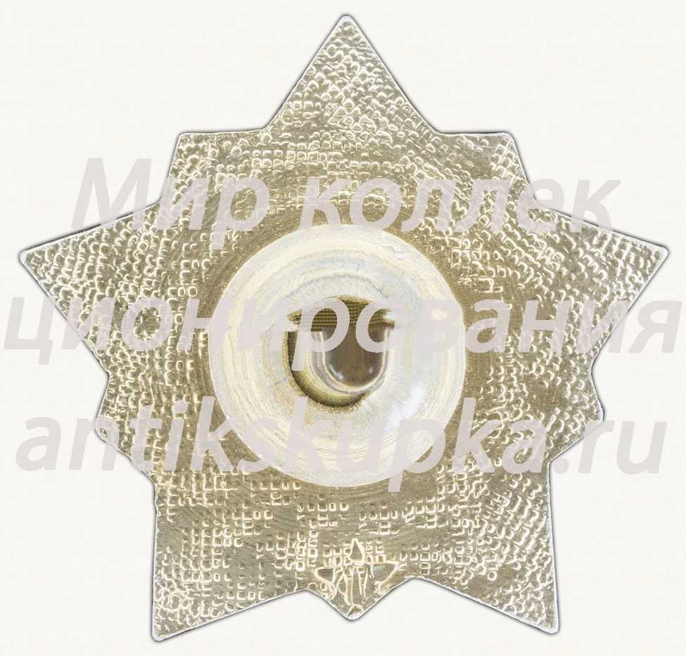 Знак «Воин спортсмен. II ступень» 2 Знак «Воин спортсмен. II ступень» 2