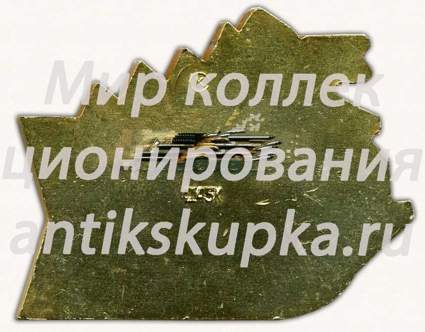 Знак «XLVII (47) праздник севера. 1981. Мурманск» Знак «XLVII (47) праздник севера. 1981. Мурманск»